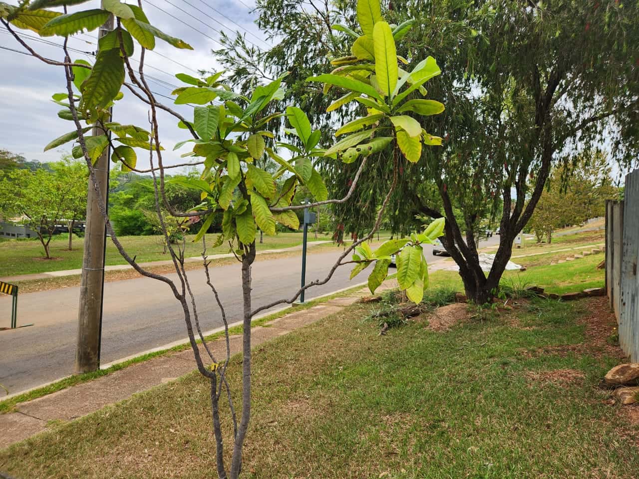 Lote Aldeia do Vale, 1622 m2 de frente a feirinha, localização fantástica.