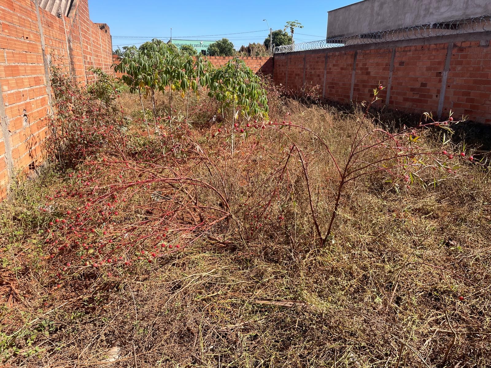 LOTE  250M²  - Residencial Orlando de Moraes Goiania - GO