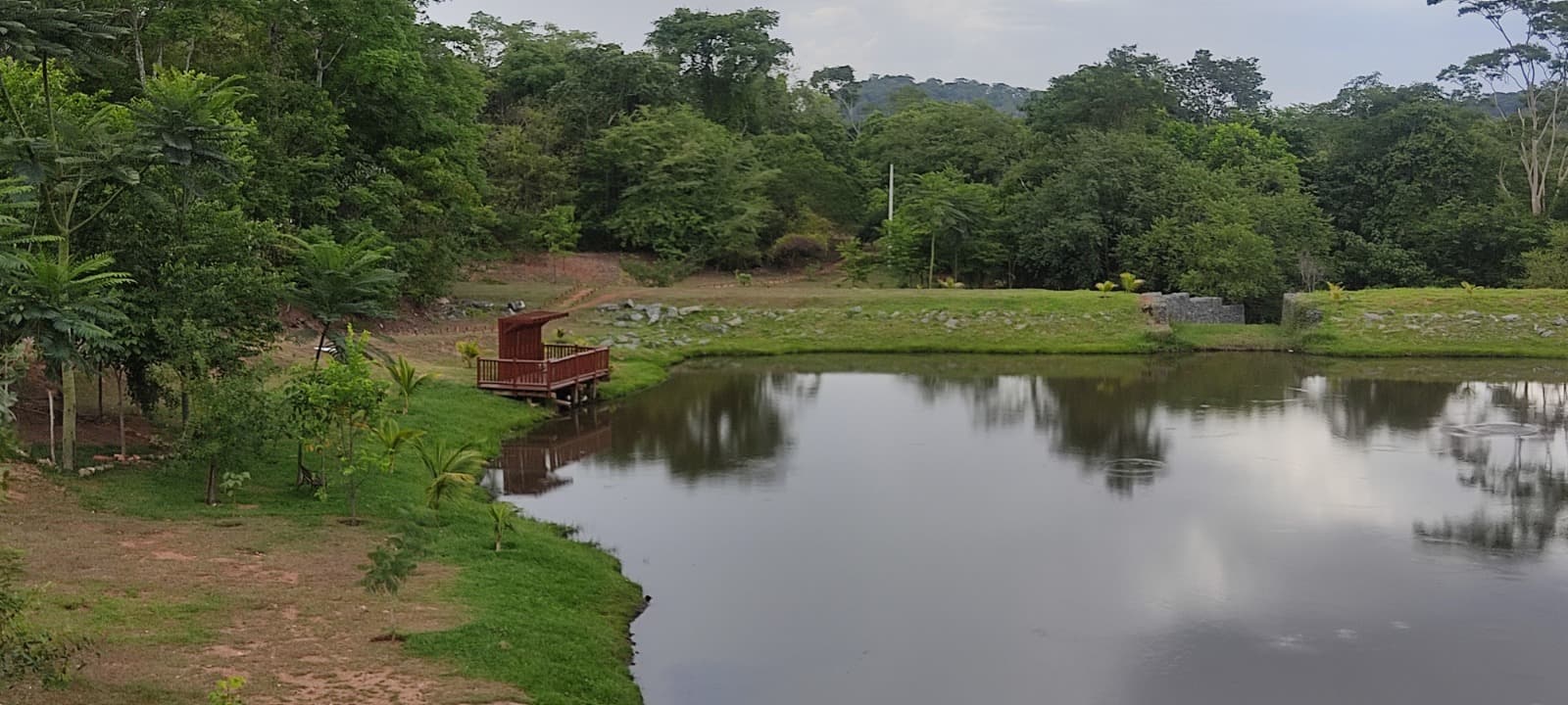 LOTE PLANO DE 431 M2 (FRENTE  DEFINITIVA PARA MATA)
