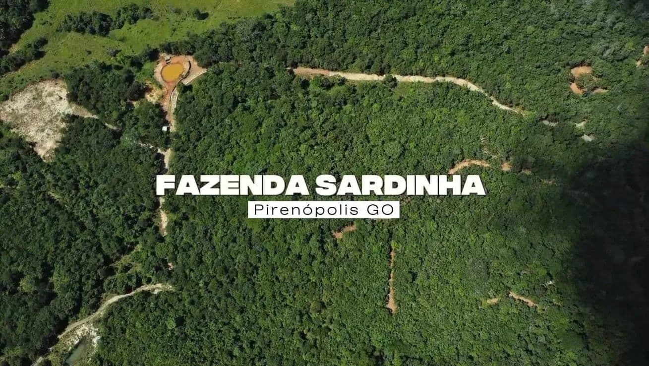 ÁREA DE 19,3 HECTARES - PRÓXIMO A PIRENÓPOLIS - IDEAL PARA HOTEL, RESORT OU EMPREENDIMENTO TURÍSTIC