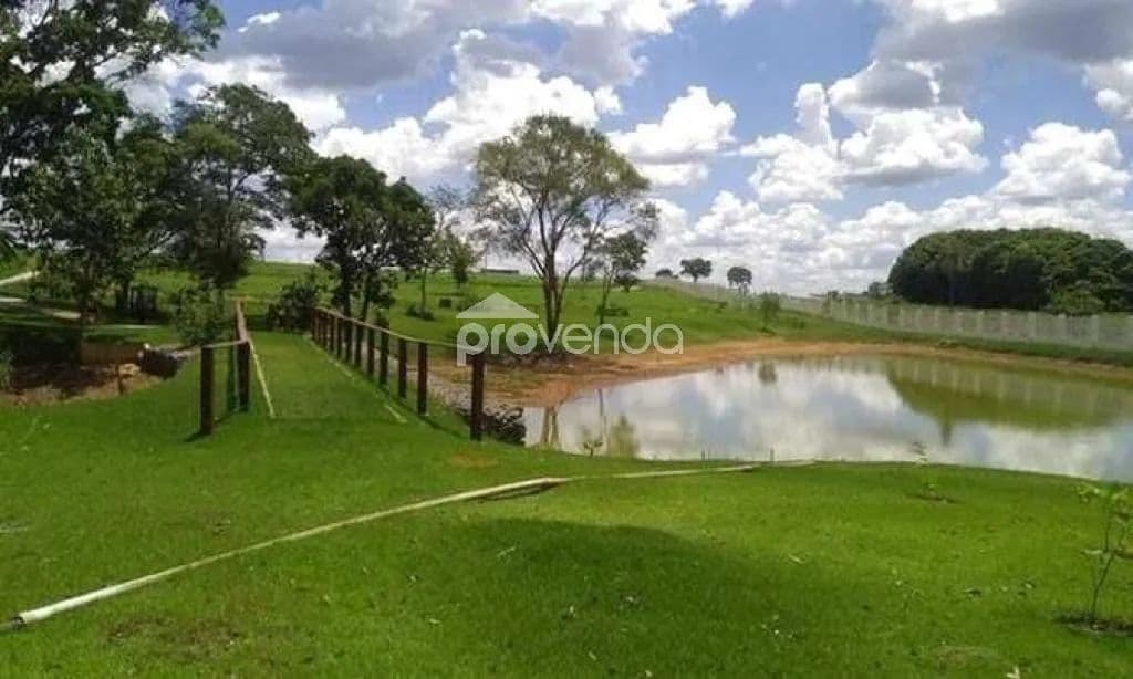 Imagem 6