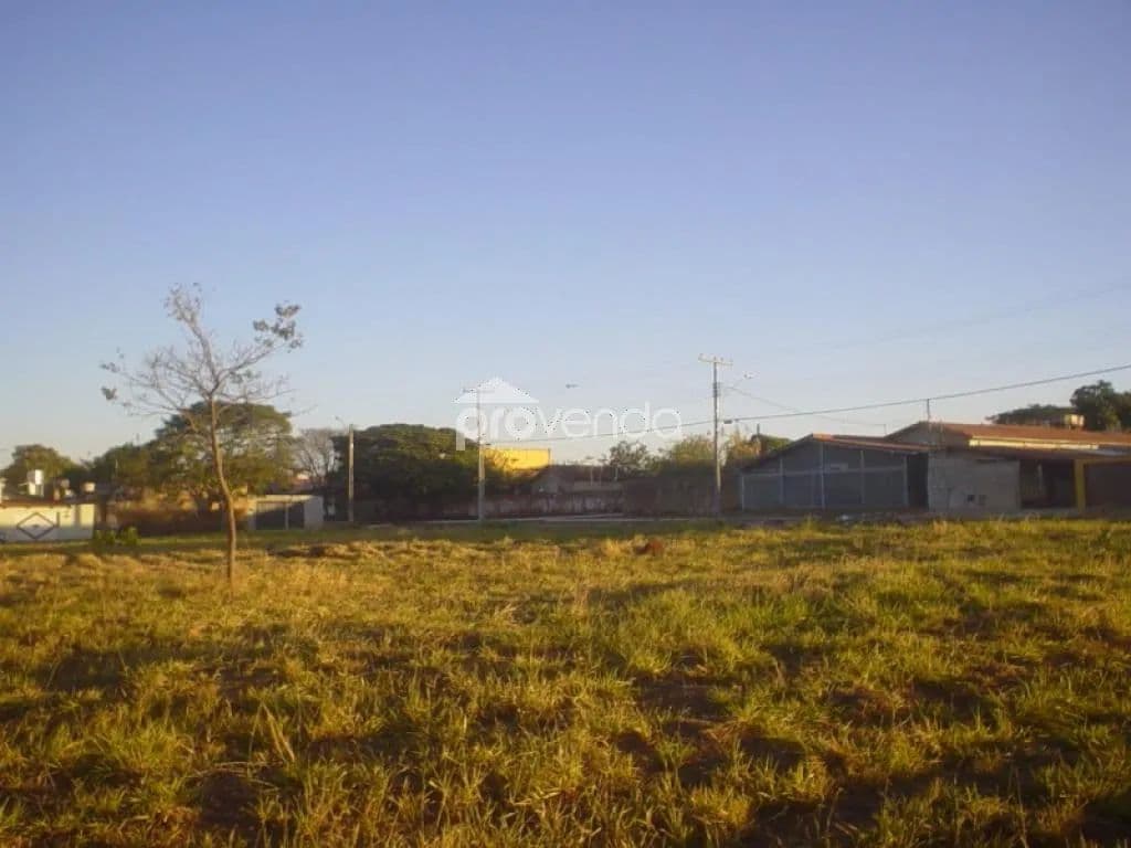 Imagem 4