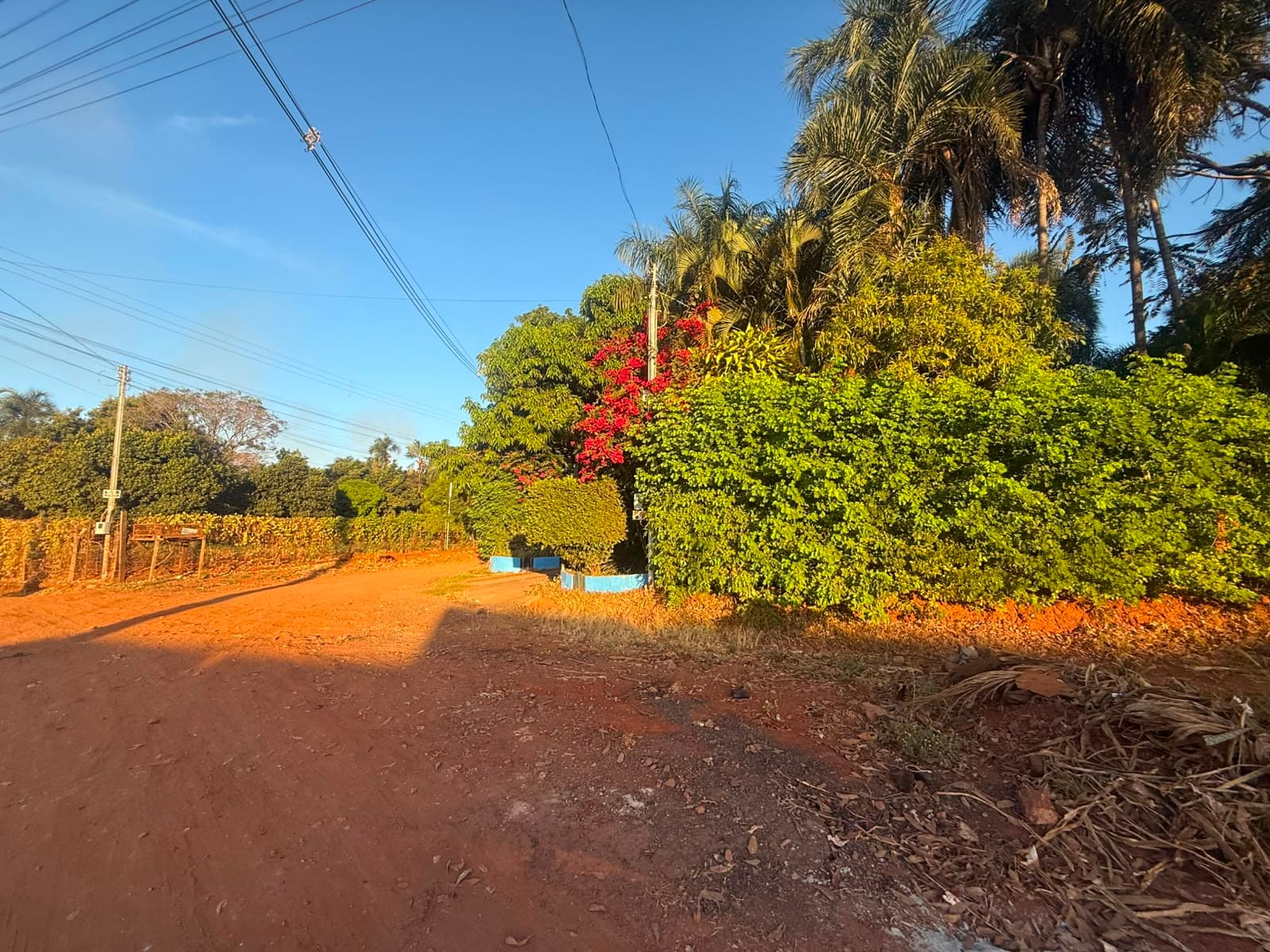 Chácara em condomínio à venda no Parque Bom Jesus - Goiânia/GO