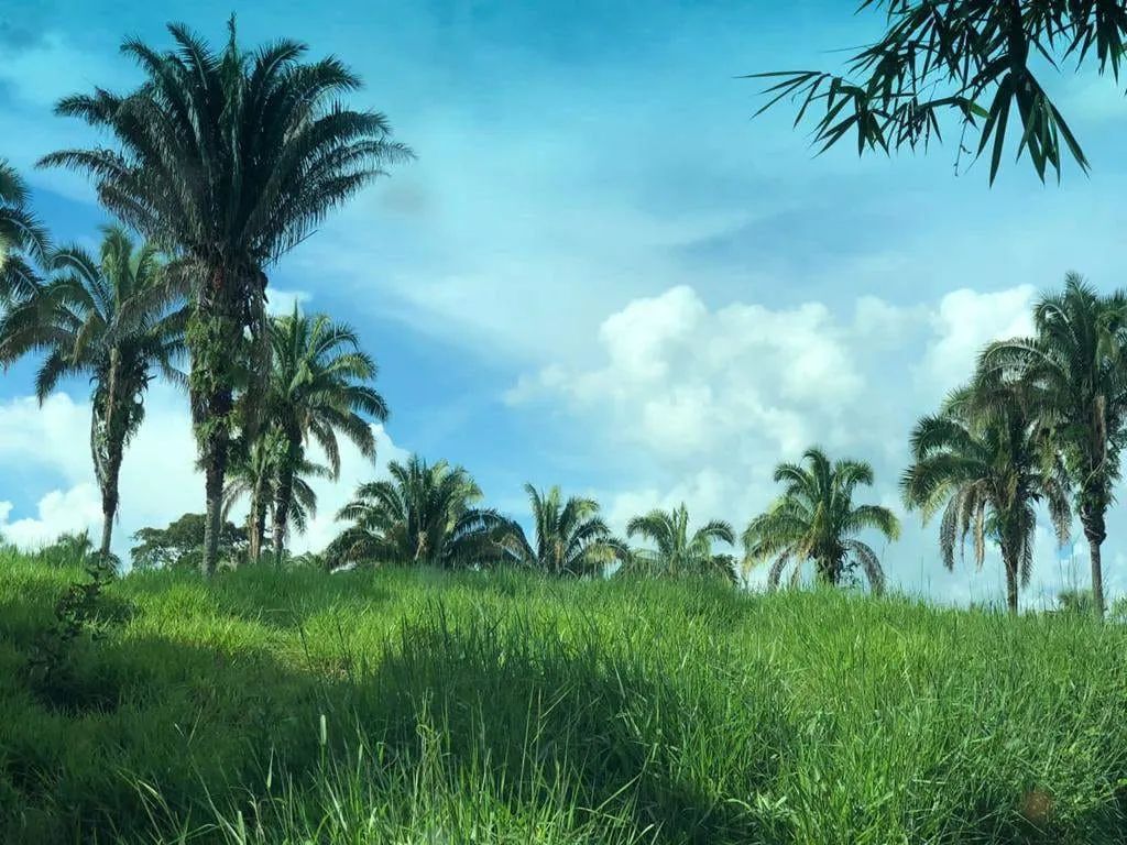 Fazenda à venda, zona rural, Pires do Rio, GO