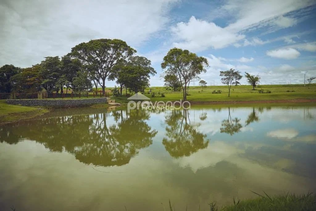 Imagem 6