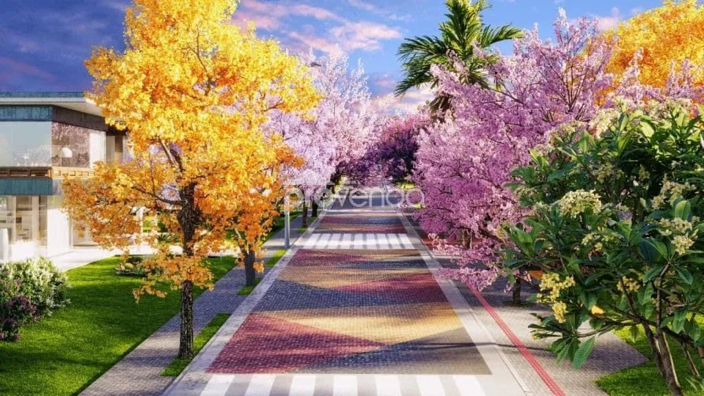 Imagem 2