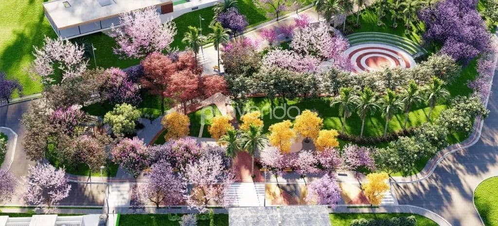 Imagem 4