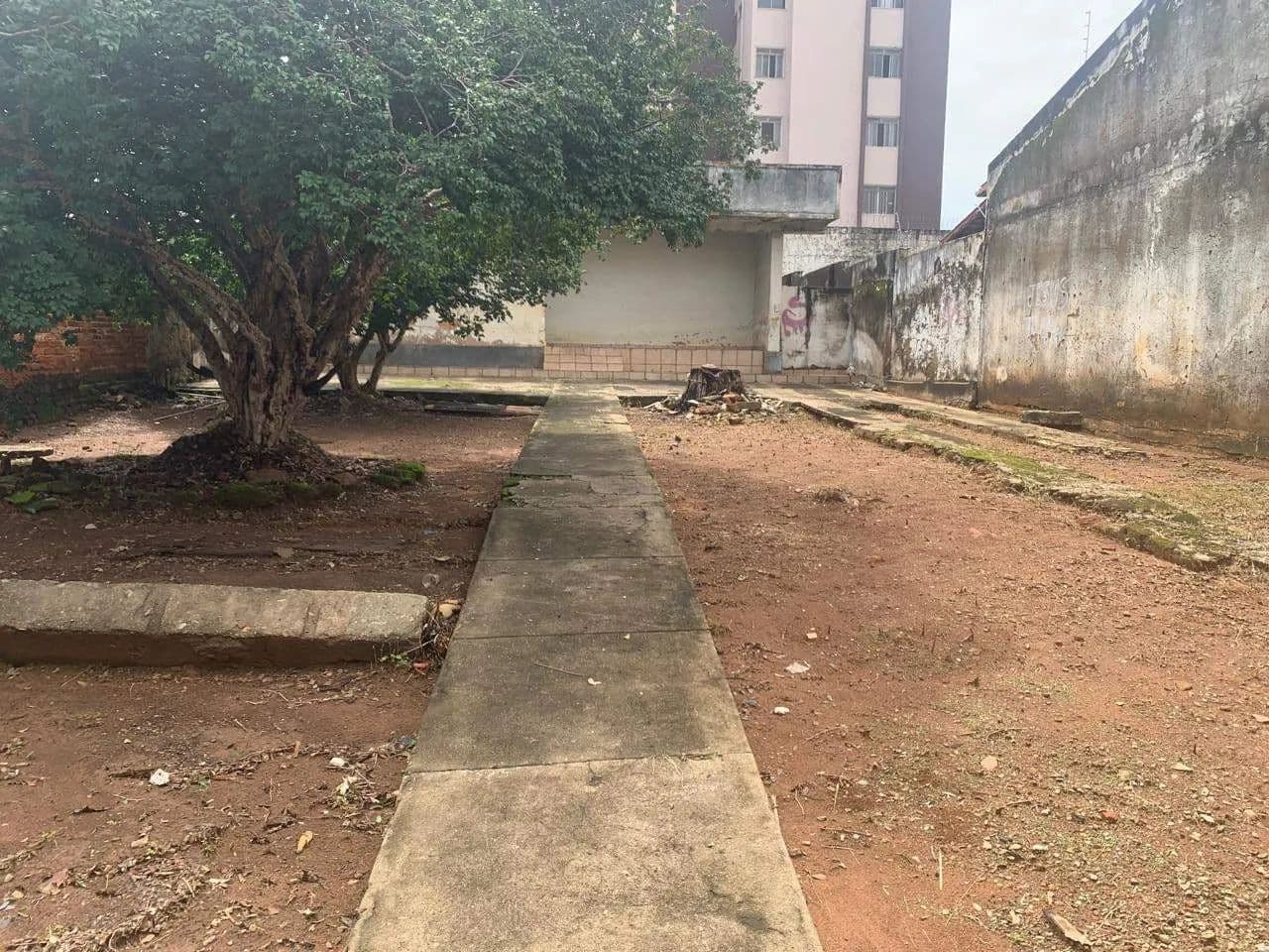 Imagem 2