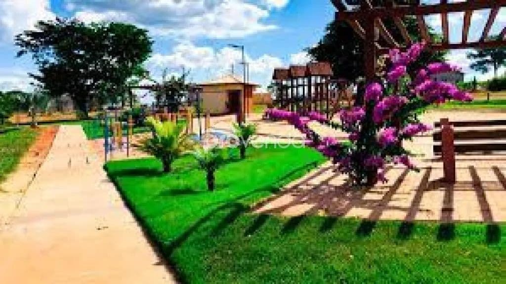 Imagem 3