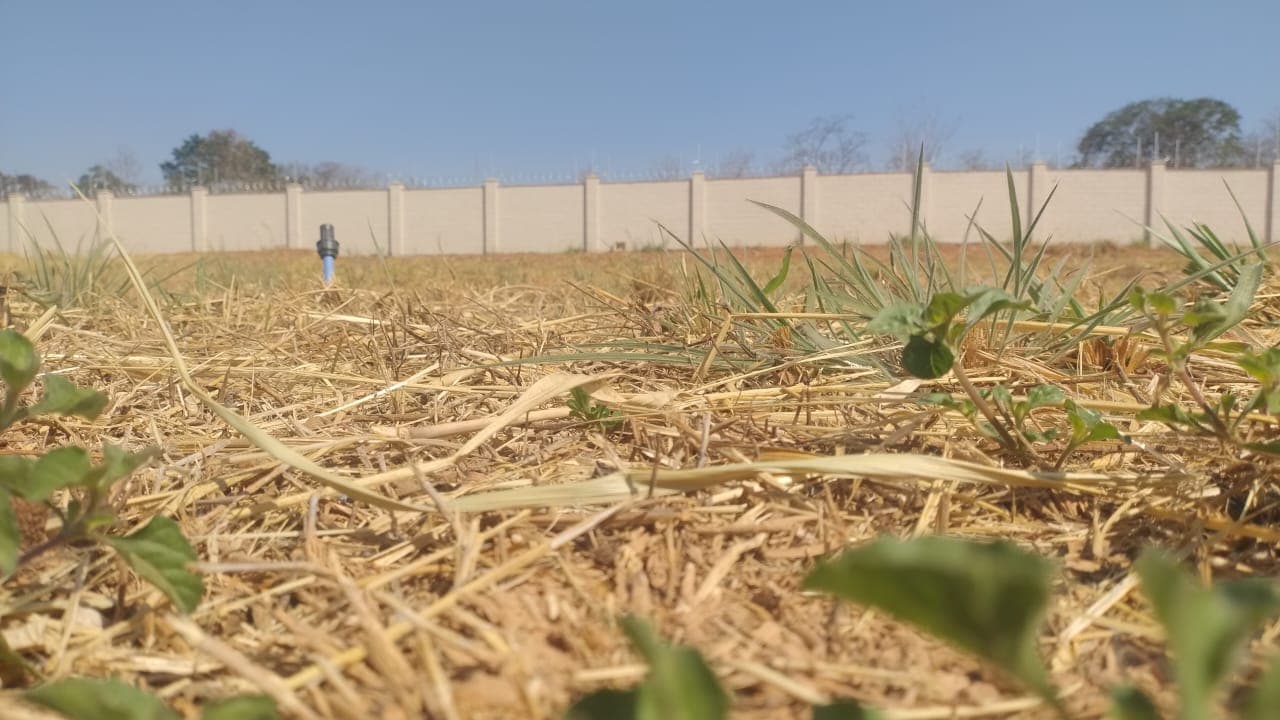 LOTE 280M² CONDOMÍNIO VINHAS FLAMBOYANT SENADOR CANEDO