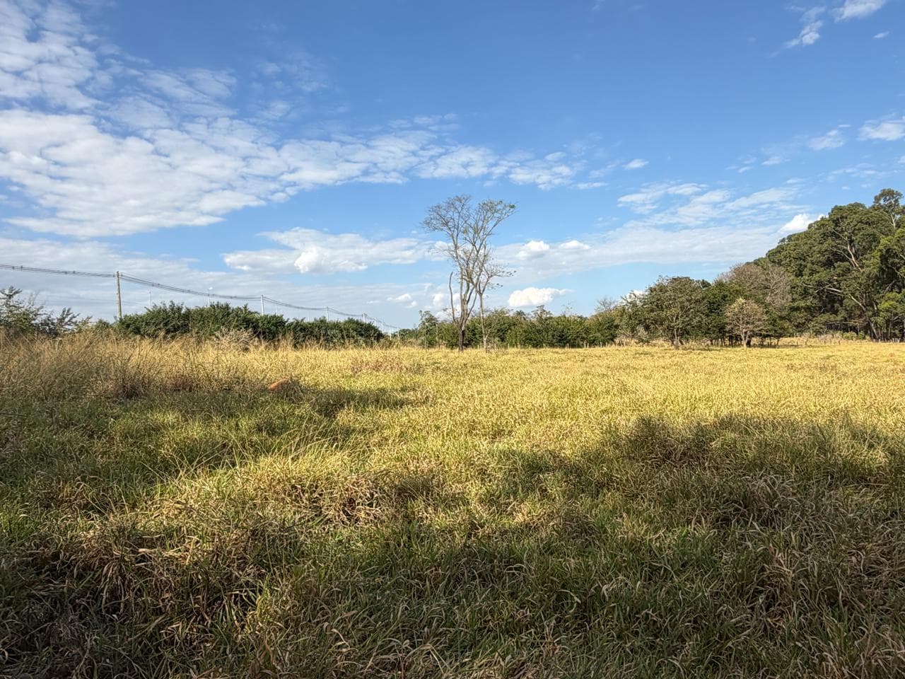 ÁREA GO-060, KM 11 – TRINDADE-GO