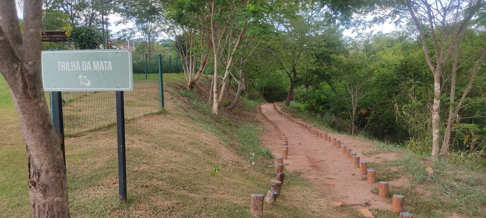 LOTE PLANO DE 431 M2 (FRENTE DEFINITIVA PARA MATA)