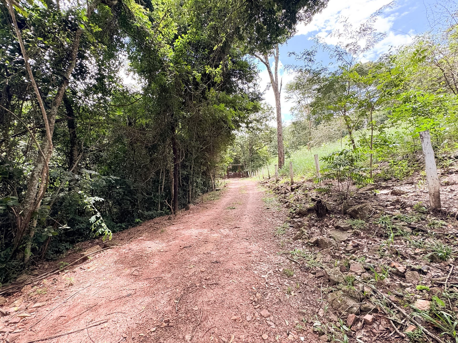 SITIO A VENDA BOM SUCESSO 05 ALQUEIRES