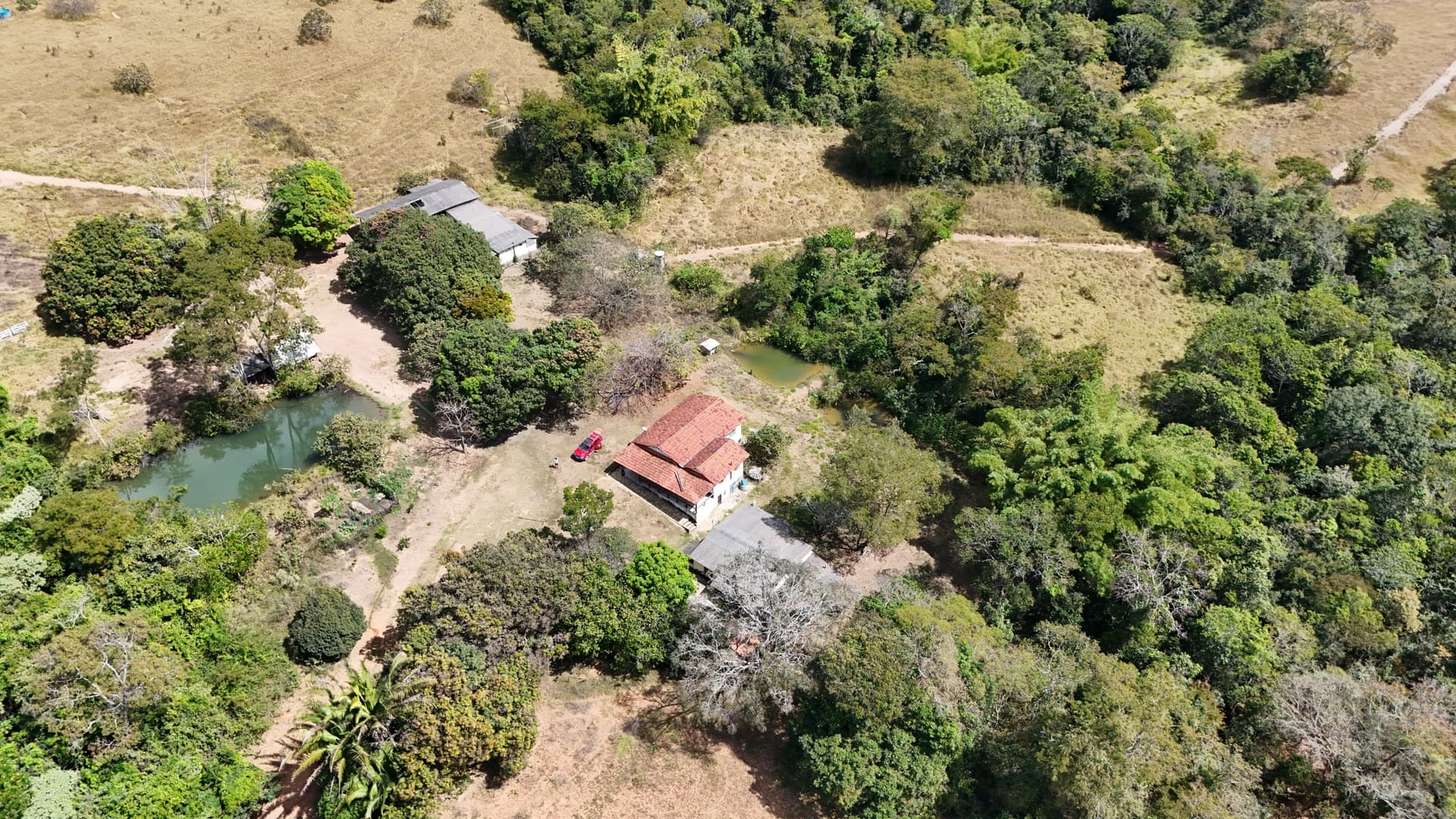 Fazenda á venda 55 Alqueires - Alexânia - Go