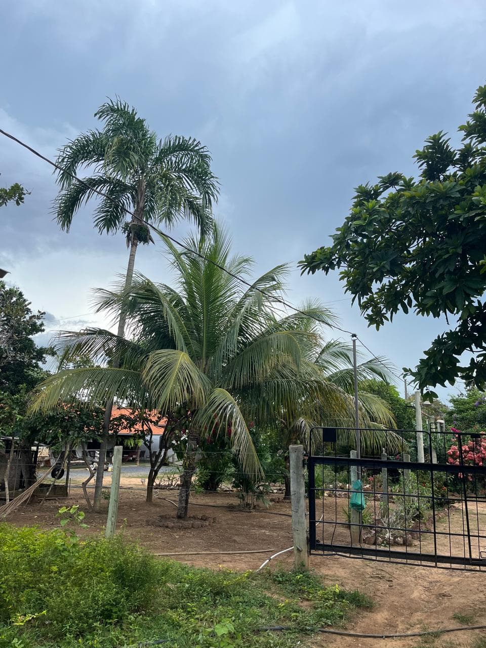 SITIO EM URUAÇU
