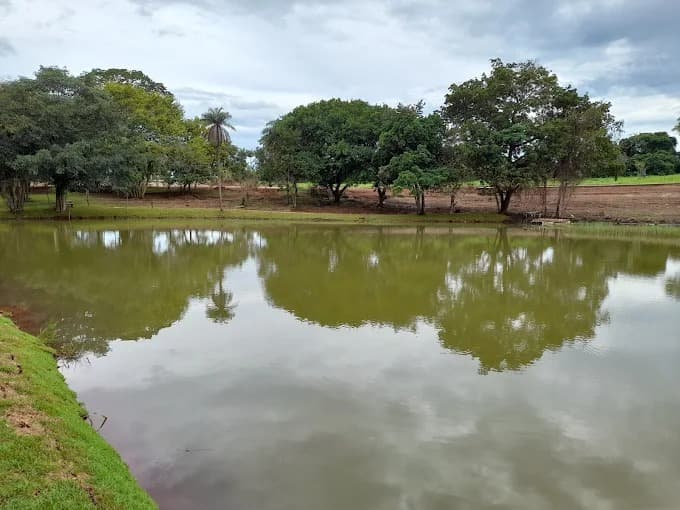 Lote Residencial Rosa de Leiria