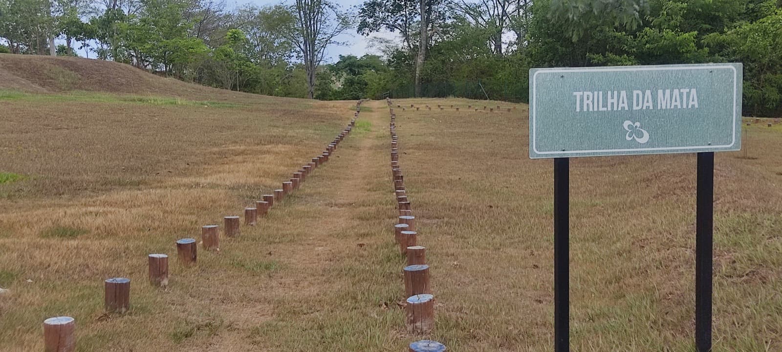 LOTE PLANO DE 431 M2 (FRENTE DEFINITIVA PARA MATA)