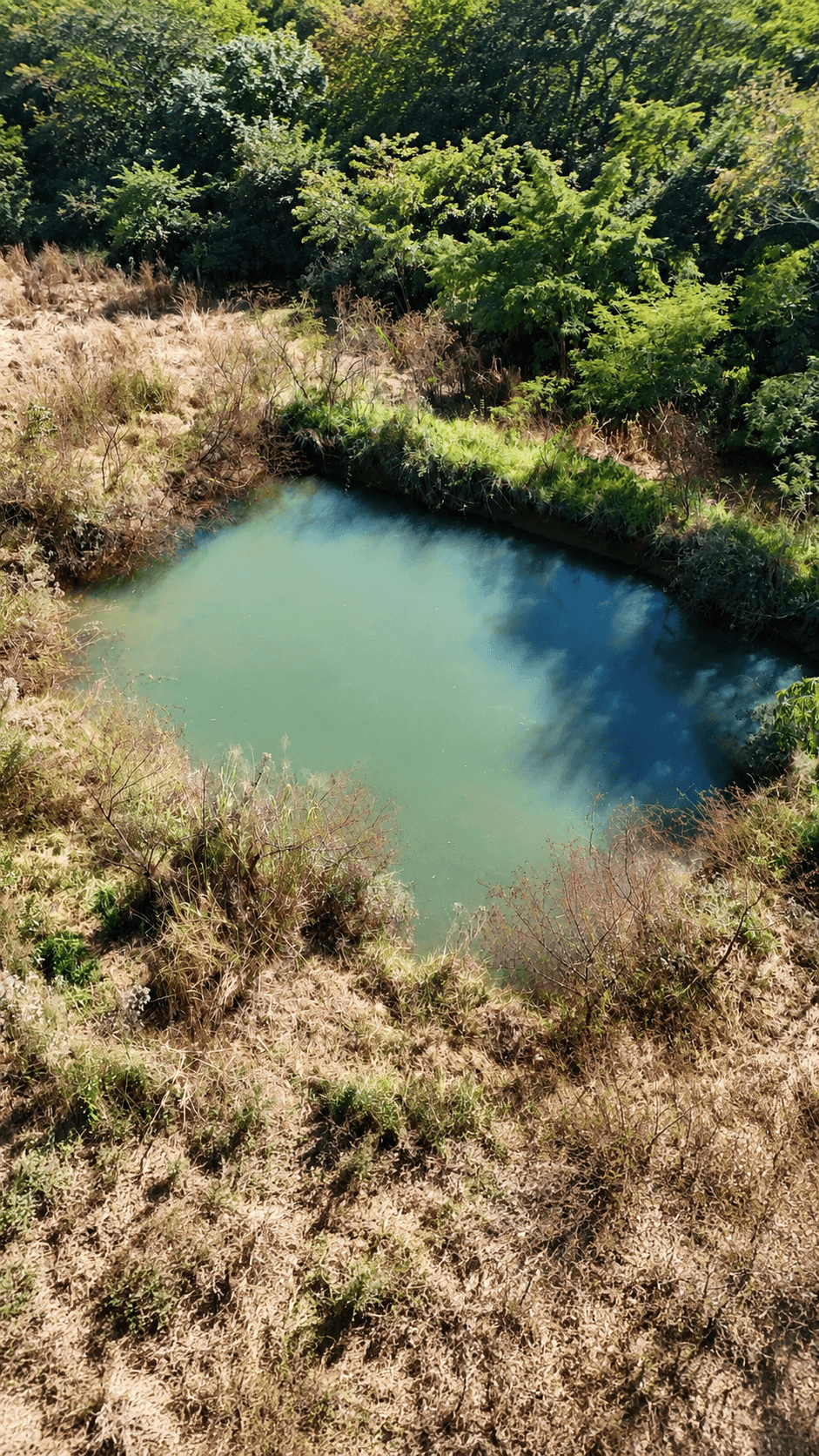 Chácara Próximo a GO-020