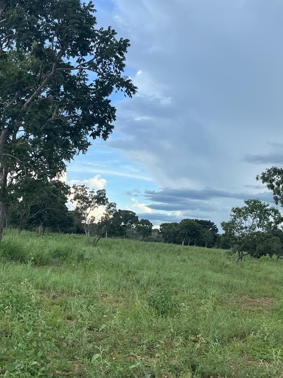 SITIO EM URUAÇU