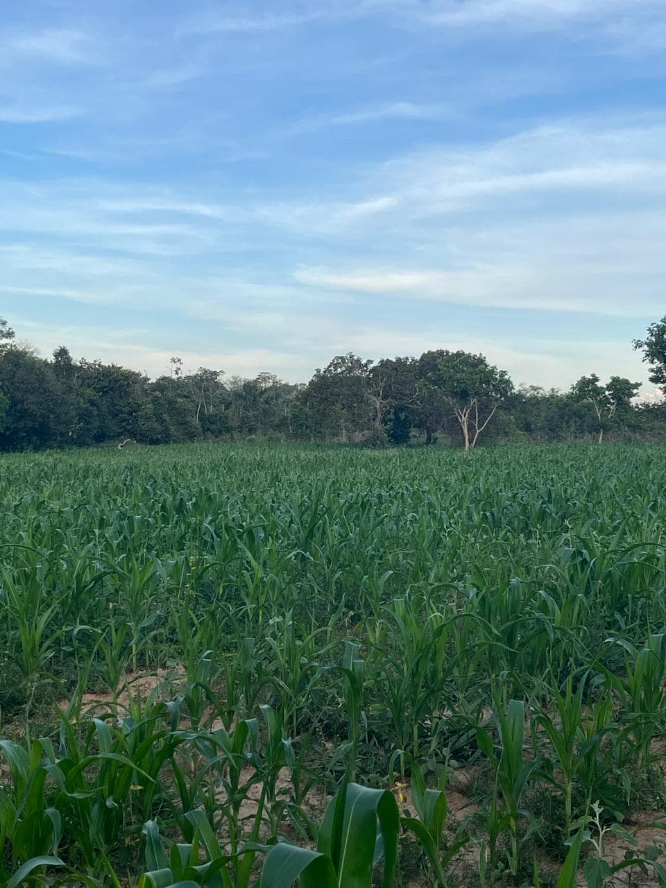 SITIO EM URUAÇU